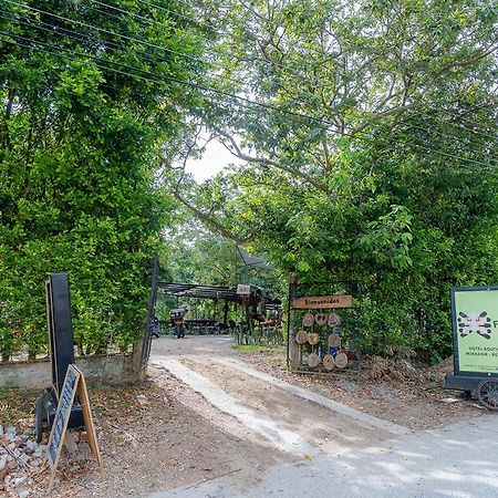 Ayenda Flora Jaguar Bed and Breakfast Ibagué Εξωτερικό φωτογραφία