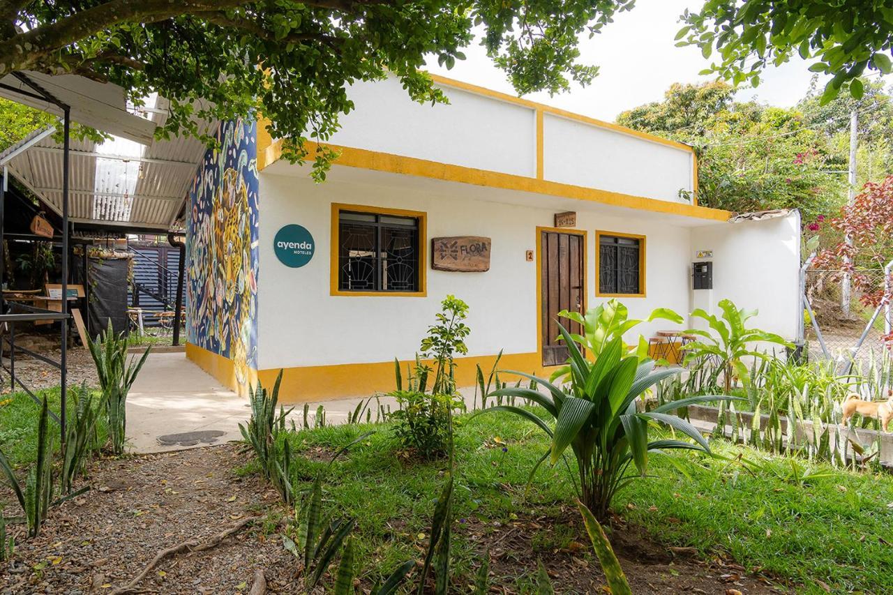 Ayenda Flora Jaguar Bed and Breakfast Ibagué Εξωτερικό φωτογραφία